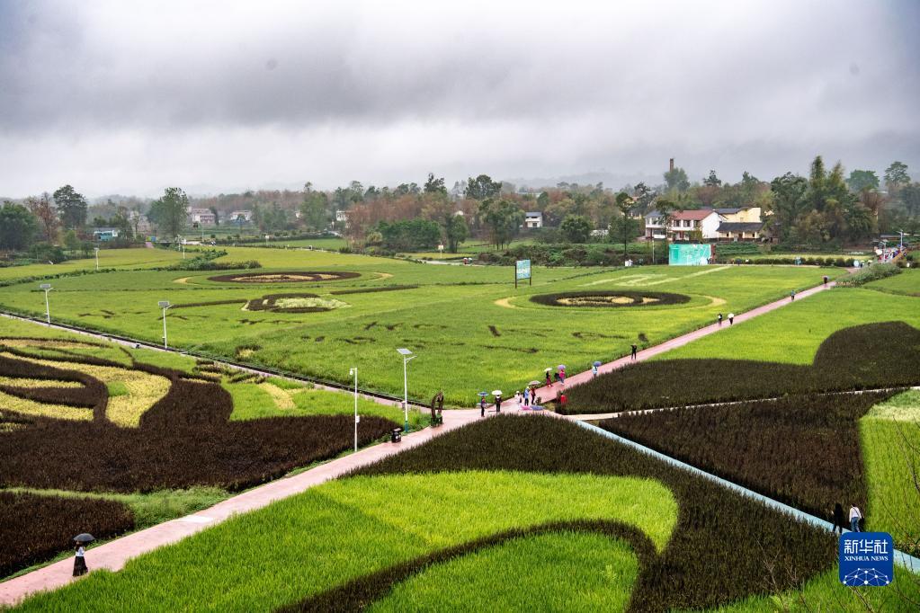 f44d305ea0a2249759a10f.jpg f44d305ea0a2249759a10f.jpg