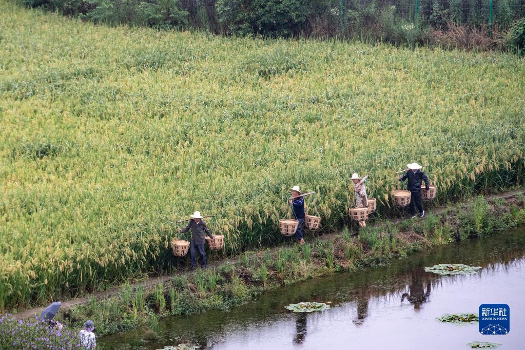 f44d305ea0a2249759a112.jpg f44d305ea0a2249759a112.jpg