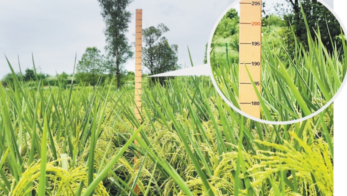 微信截图_20240902144959.jpg 微信截图_20240902144959.jpg