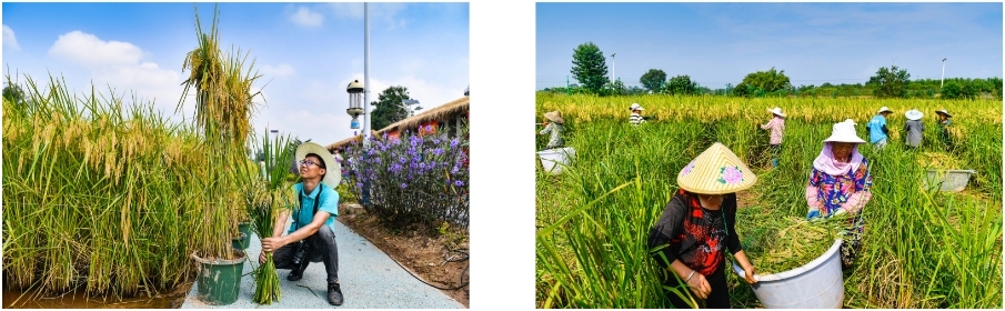 微信截图_20240926161726.jpg 微信截图_20240926161726.jpg