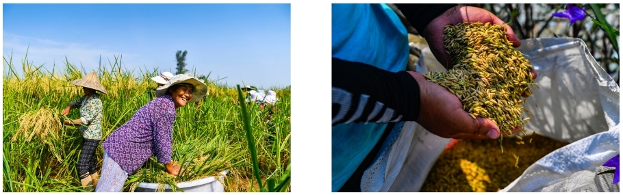 微信截图_20240926161737.jpg 微信截图_20240926161737.jpg